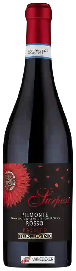 Winery Terre da Vino - Surpass Rosso Passito Winery Terre da Vino - Surpass Rosso Passito