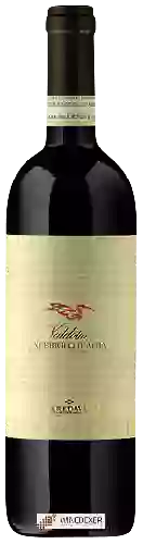 Winery Terre da Vino - Valdomo Nebbiolo d'Alba