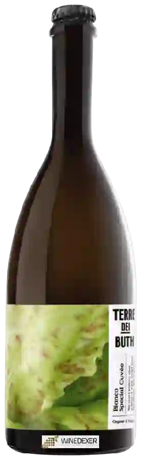 Winery Terre dei Buth - Special Cuvée Bianco Winery Terre dei Buth - Special Cuvée Bianco
