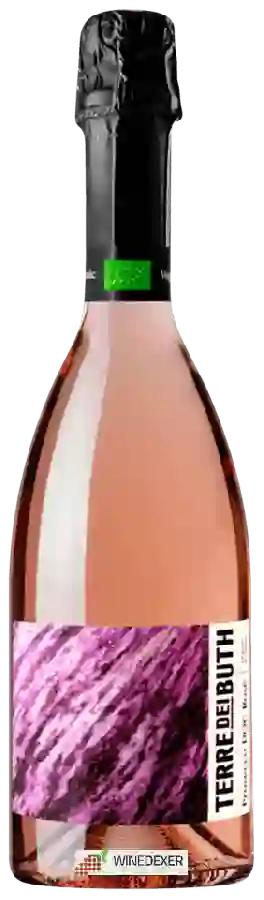 Winery Terre dei Buth - Terre dei Buth Prosecco Rosé