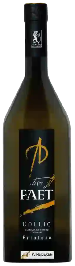 Winery Terre del Faet - Friulano
