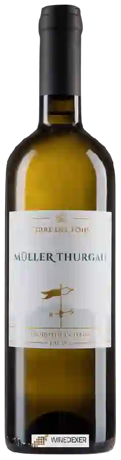 Winery Terre del Föhn - Müller-Thurgau