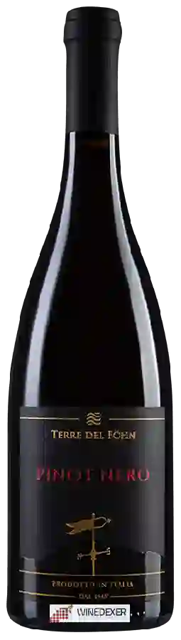 Winery Terre del Föhn - Pinot Nero