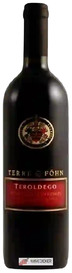 Winery Terre del Föhn - Vigneti delle Dolomiti Teroldego