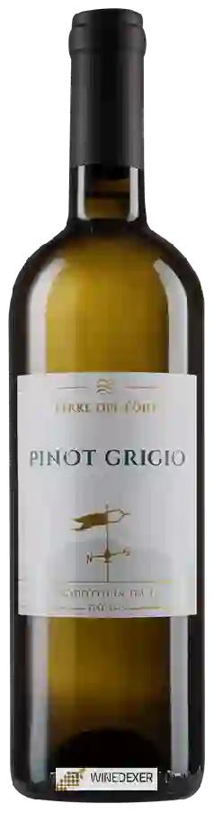 Winery Terre del Föhn - Pinot Grigio Winery Terre del Föhn - Pinot Grigio