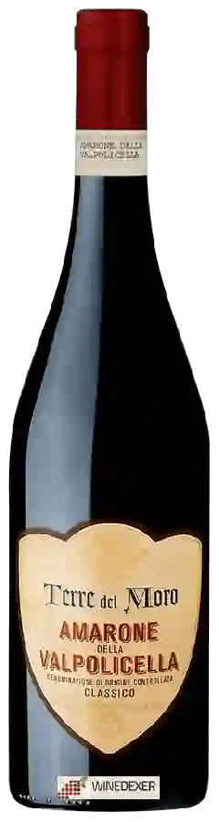 Winery Terre del Moro - Amarone della Valpolicella Classico