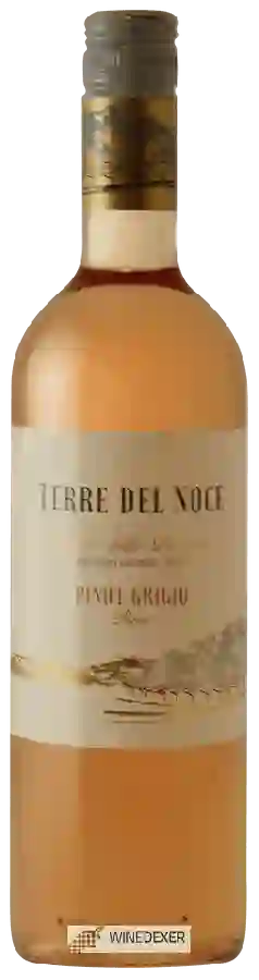 Winery Terre del Noce - Pinot Grigio Rosé