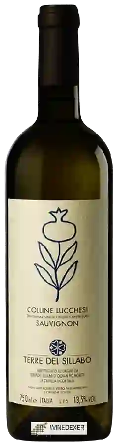 Winery Terre del Sillabo - Sauvignon Winery Terre del Sillabo - Sauvignon