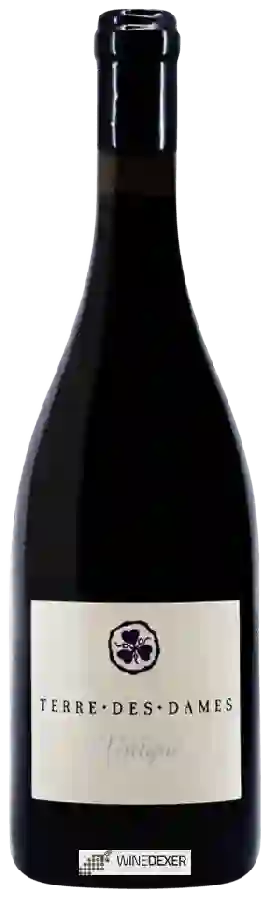 Winery Terre Des Dames - L’ Unique