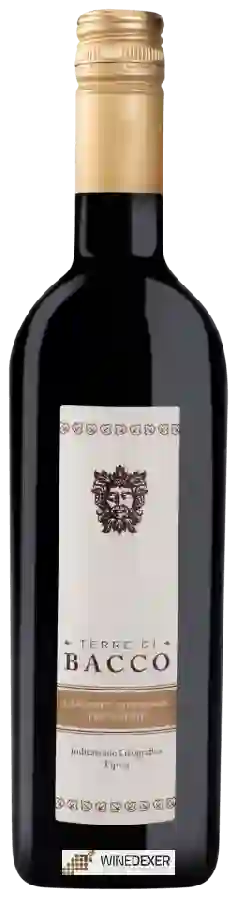 Winery Terre di Bacco - Cabernet Sauvignon Winery Terre di Bacco - Cabernet Sauvignon