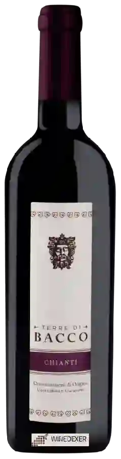 Winery Terre di Bacco - Chianti Winery Terre di Bacco - Chianti
