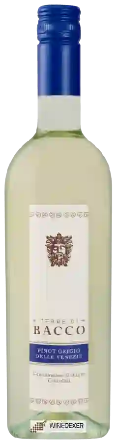 Winery Terre di Bacco - Pinot Grigio Winery Terre di Bacco - Pinot Grigio