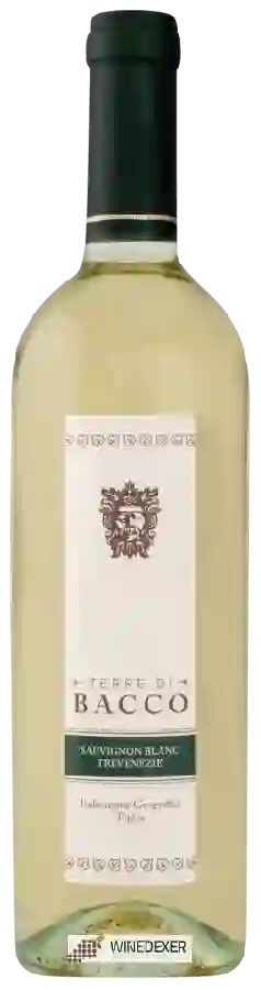 Winery Terre di Bacco - Sauvignon Blanc Winery Terre di Bacco - Sauvignon Blanc