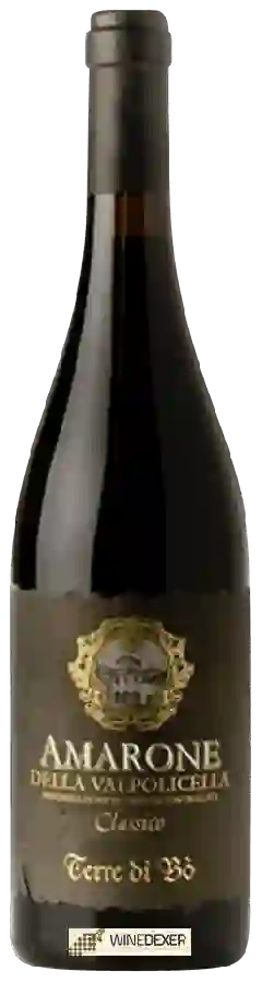 Winery Terre di Bo - Amarone della Valpolicella Classico Winery Terre di Bo - Amarone della Valpolicella Classico