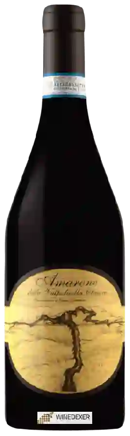 Winery Terre di Leone - Amarone della Valpolicella Classico