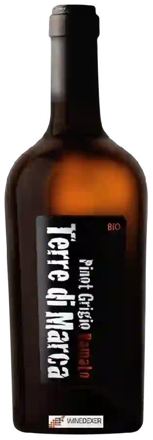 Winery Terre di Marca - Pinot Grigio Ramato Winery Terre di Marca - Pinot Grigio Ramato