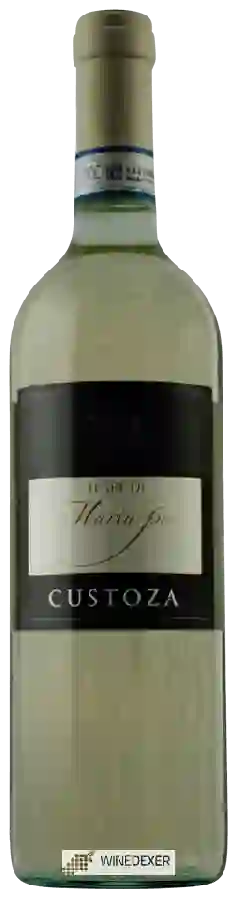 Winery Terre di Maria Pia - Custoza Winery Terre di Maria Pia - Custoza