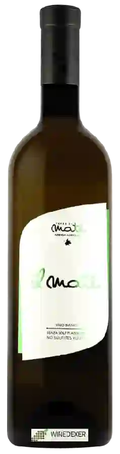 Winery Terre di Maté - Il Maté Winery Terre di Maté - Il Maté