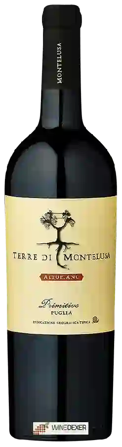 Winery Terre di Montelusa - Altopiano Primitivo Winery Terre di Montelusa - Altopiano Primitivo