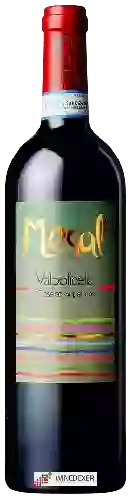 Winery Terre di Pietra - Mesal Valpolicella Classico Superiore