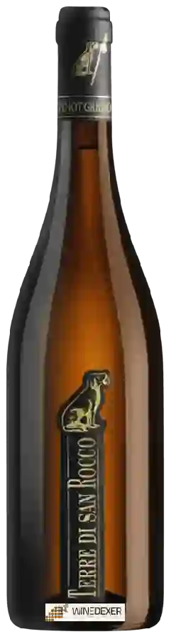 Winery Terre di San Rocco - Pinot Grigio