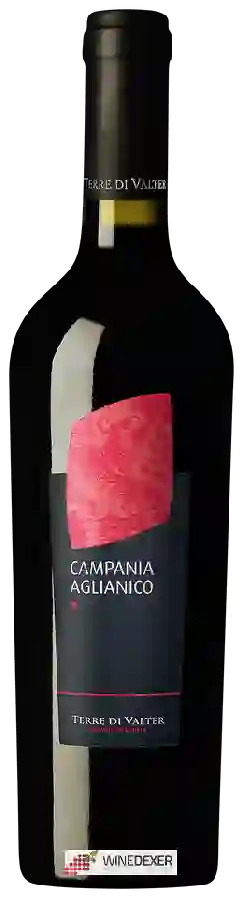 Winery Terre di Valter - Aglianico Campania Winery Terre di Valter - Aglianico Campania