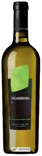Winery Terre di Valter - Falanghina