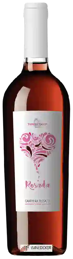Winery Terre di Valter - Rosado Winery Terre di Valter - Rosado