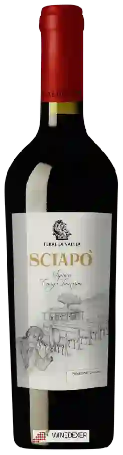 Winery Terre di Valter - Sciapo' Winery Terre di Valter - Sciapo'