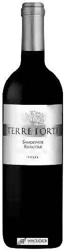 Winery Terre Forti - Rubicone Sangiovese