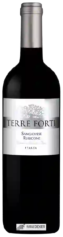 Winery Terre Forti - Rubicone Sangiovese