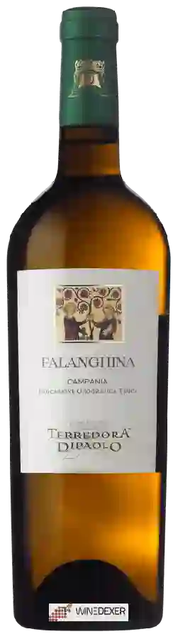 Winery Terredora - Falanghina Campania