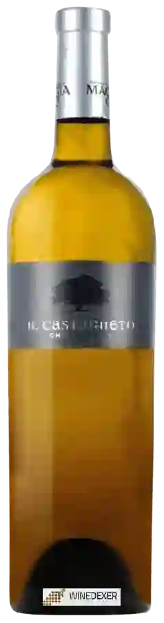 Winery Terreni Alla Maggia - Il Castagneto Chardonnay Winery Terreni Alla Maggia - Il Castagneto Chardonnay