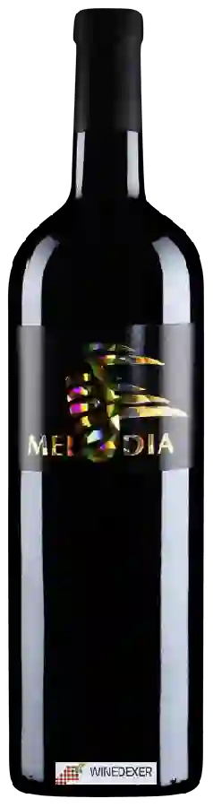 Winery Terreni Alla Maggia - Melodia Winery Terreni Alla Maggia - Melodia