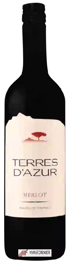 Winery Terres d'Azur - Merlot