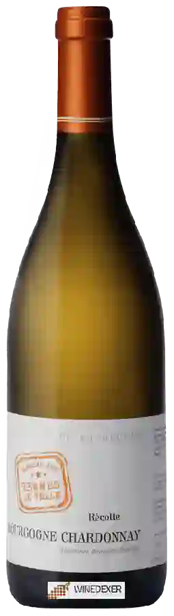 Domaine des Terres de Velle - Bourgogne Chardonnay Domaine des Terres de Velle - Bourgogne Chardonnay