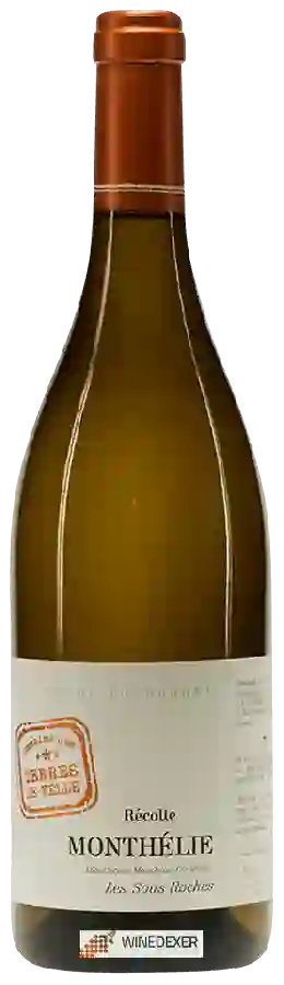 Domaine des Terres de Velle - Monthelie 'Les Sous-Roches'