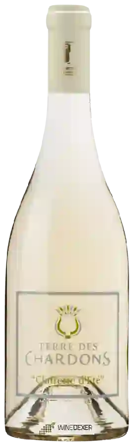 Winery Terre des Chardons - Clairette d'Eté