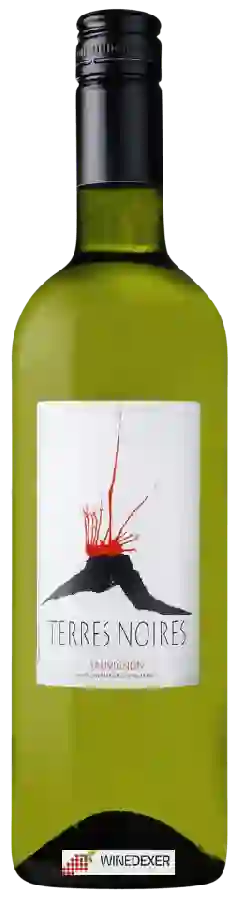 Winery Terres Noires - Sauvignon Winery Terres Noires - Sauvignon