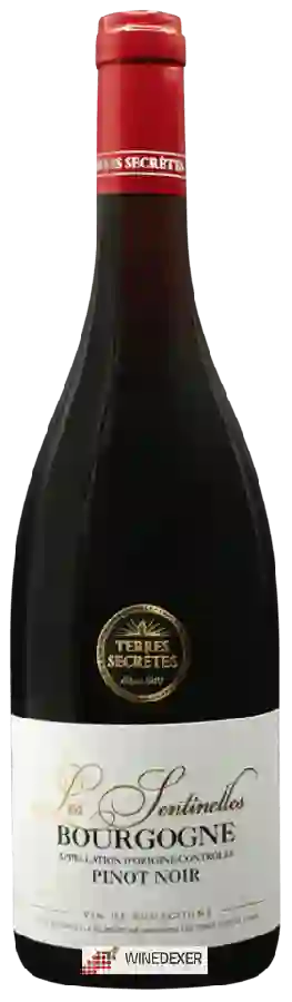 Winery Terres Secrètes - Les Sentinelles Bourgogne Pinot Noir Winery Terres Secrètes - Les Sentinelles Bourgogne Pinot Noir