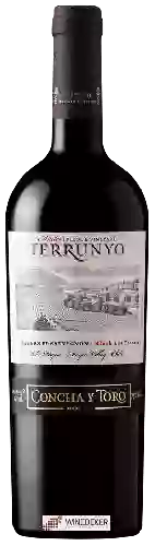Winery Terrunyo - Cabernet Sauvignon