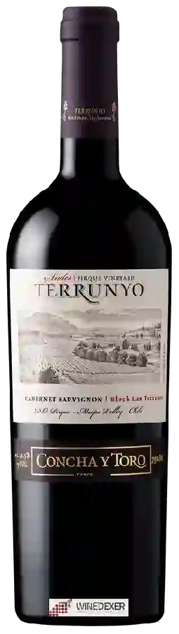 Winery Terrunyo - Cabernet Sauvignon