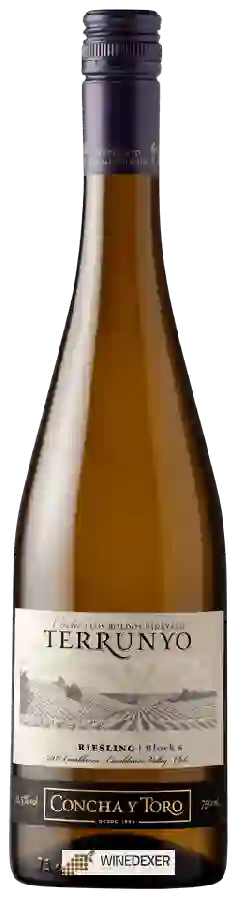 Winery Terrunyo - Riesling Winery Terrunyo - Riesling