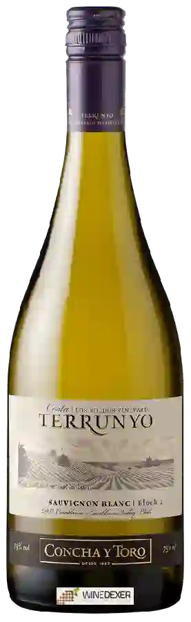 Winery Terrunyo - Sauvignon Blanc Winery Terrunyo - Sauvignon Blanc