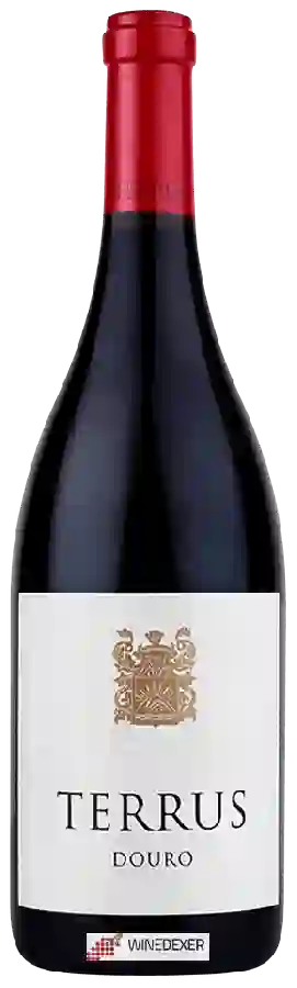 Winery Terrus - Douro Winery Terrus - Douro