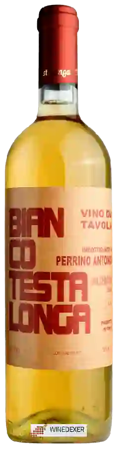 Winery Testalonga - Bianco Testalonga Winery Testalonga - Bianco Testalonga
