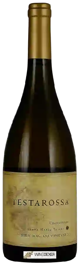 Testarossa Winery - Bien Nacido Vineyard Chardonnay Testarossa Winery - Bien Nacido Vineyard Chardonnay