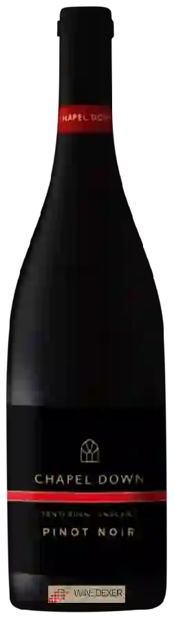Winery Chapel Down - Pinot Noir