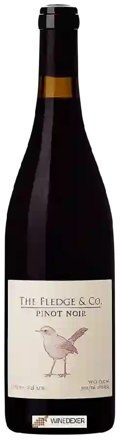 Winery The Fledge & Co - Pinot Noir
