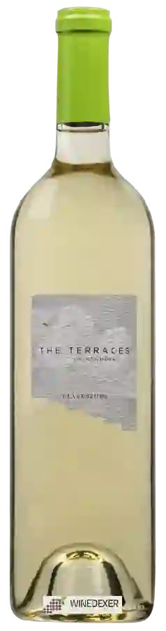 Winery The Terraces - Falanghina